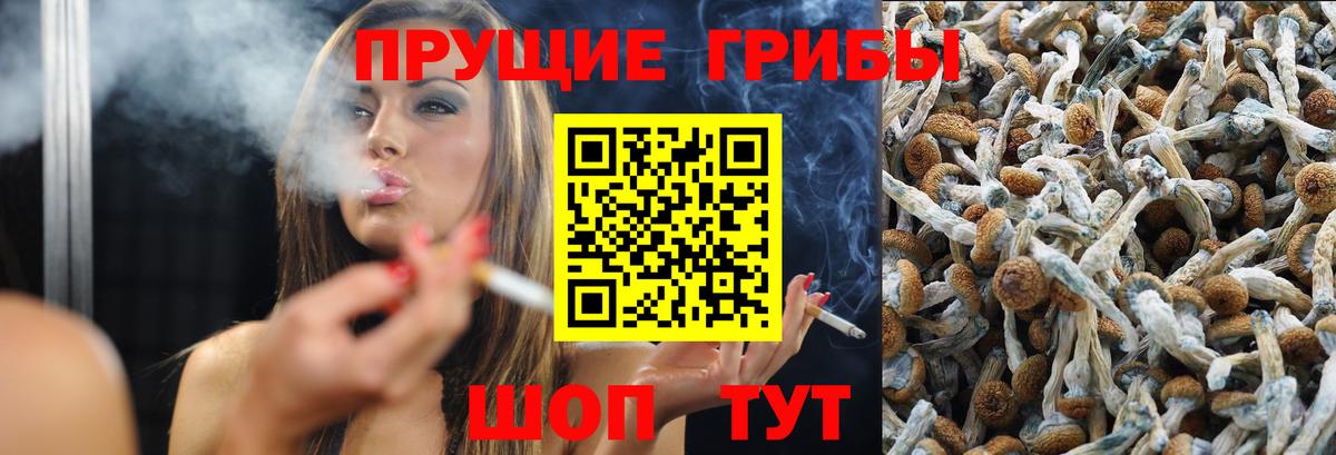 Псилоцибиновые грибы мухоморы  Галлюциногенные грибы мухоморы  Тольятти  Вход с VPN 