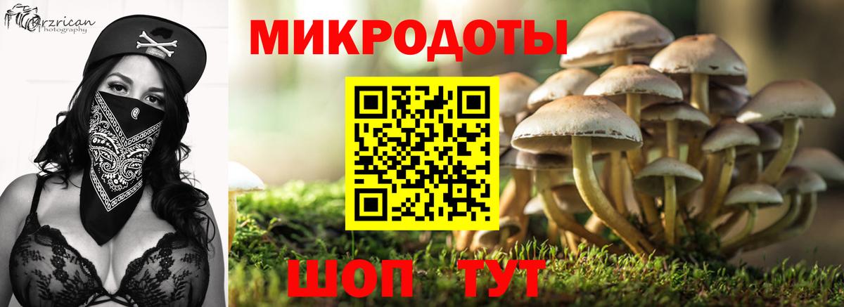 Псилоцибиновые грибы ЛСД Тольятти